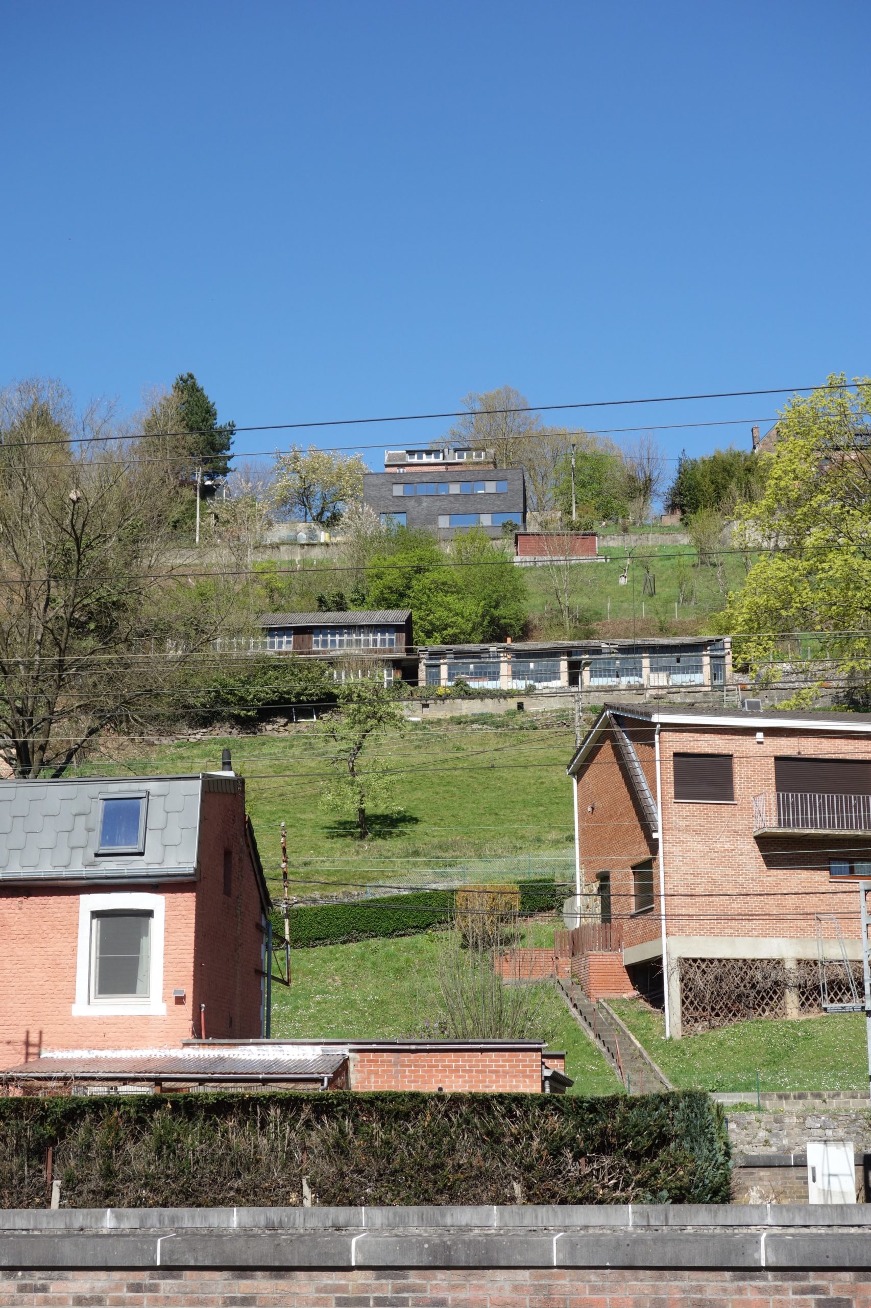 DSC05505